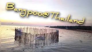 Bangpoo@ thailand
