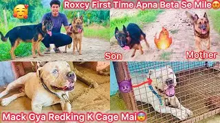 Roxcy Ko Uska Beta Se Milvaya First Time😍Mack Ko Redking Vala Cage Mai Krna Pda😨Dabang Kabutar Aya🕊️