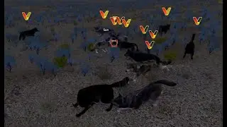 Nighttime Wolf Fight WolfQuest AE 3 Multiplayer