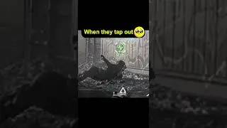 When Battlefield 6 gets too emotional