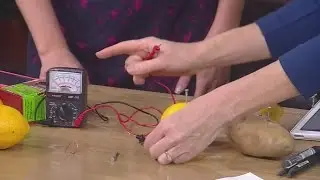 Kitchen Pantry Scientist: Experiments With Electricity