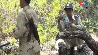Indigenous Communities Say Authorities Collude With Loggers ​អាជ្ញាធរ​ឃុបឃិត​នឹងក្រុមហ៊ុន​កាប់ឈើ