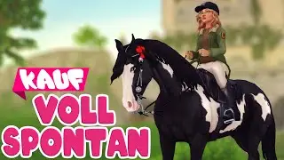 Abyss - absoluter Spontankauf 🐴 PFERDEKAUF 🐴 Star Stable Online