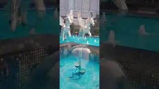 Blue water 💧 💙 Fountains #bluewater #elantemall #flawsomediary #shortvideo #shorts