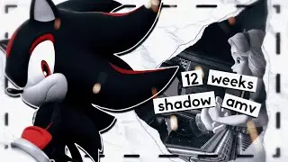 12 Weeks - Shadow [AMV/GMV]