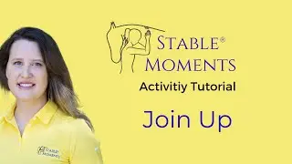 Join Up Equine Assisted Learning Activity