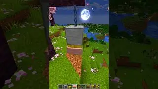Minecraft Pet House 💀 #shorts