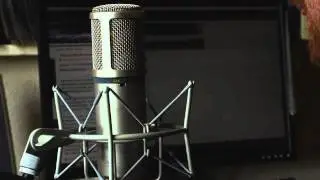 Peter Green - Need your love so bad cover