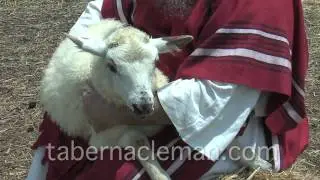 Passover Lamb Exodus 12:1-13 Scripture Reading