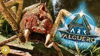 ASA Valguero TAMING ARANEO #27