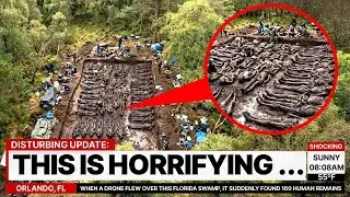 When a Drone Flew Over This Florida Swamp, It Suddenly Found 160 Human Remains