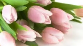 Flowers A to Z. - All My Favourite Flower Names