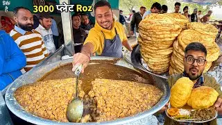 Rajasthan ka Nashta King 😍 No 1 Pani Wale Chole Bhature | Street Food India