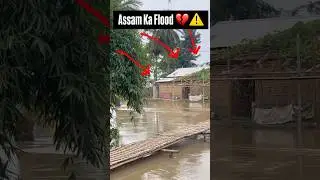 Assam Ka &lsquo; Flood in 2025 💔 #assam #flood #water #guwahati