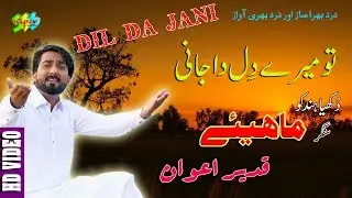 Tu Mery Dil da Jani l Singer Qadeer Awan l #Hazara Songs | #Hindko Mahiye