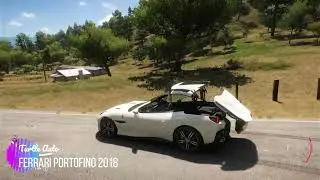 Turtle Auto Ferrari Portofino