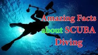 Amazing Facts about SCUBA Diving. #shorts