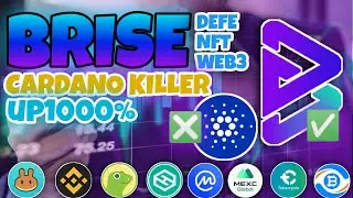 BITGERT (BRISE) NEWS TODAY | CARDANO KILLER UP TO 1000% | NEW ATH 2022