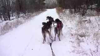 running the trap line 12-7-11 part 1