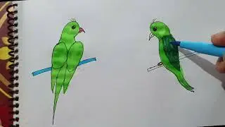 How to draw two little birds drawing and colouring#rdartzoo #easydrawing #newfeeds #howtodraw #fyp
