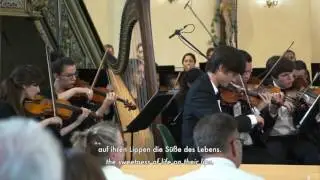 LIEDER BEI SCHWINDENDEM LICHT