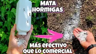 TODA HORMIGA desaparece Con Este REMEDIO CASERO para Plantas, CASA y Jardín! Solución para eliminar
