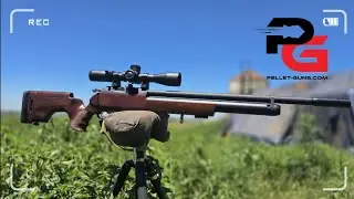 Пневматическая винтовка Effecto PX-5 Sport Wood Model PCP калибра 5,5 мм, ствол 58 см