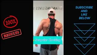 Scapular Clocks | Train Your Shoulder Blades for Better Posture and Stability!