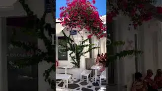 9 things to do in Paros #greece #travelgreece #bucketlist