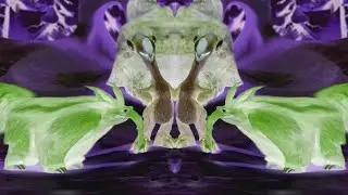 Ice Age 3! Spit the Baby Out!(Sponsored By: Gamavision Csupo Effects) 