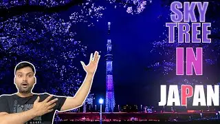 Day 1: Tokyo Skytree Adventure and Nighttime Views|AbhiAya!|Indianinjapan