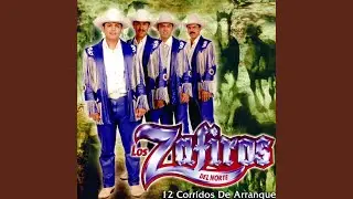 La Fiebre Michoacana