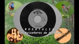 ROSATULIA  Los Ruiseñores de Oriente