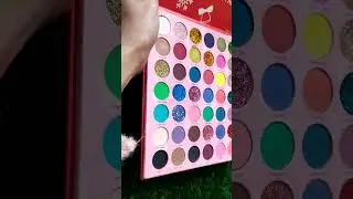 S.F.R hated with love pigmented Red palatte review #review #makeup #viral #shorts #trending #beauty