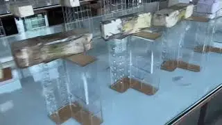 Custom Acrylic Dental Tool & Lab Tube Holder &ndash; OEM Manufacturing | Acrymade Factory