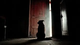 México, 1948 — Todos aceptaron la mentira. El perro reveló la verdad.