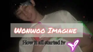 Wonwoo Imagine: How it all started iv | YN POV | Part 9