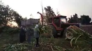 ماكينة سيلاج من فكري منصور للالات الزراعية طنطا (الوحش) للجرارات الكبيرةللاتصال ٠١٢٢١٧٩٣٤٥٦