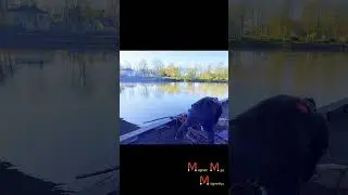 Biggest Pole Iv Found #MagnetManMagnetics #Magnetfishing #Magnet #Magnetic #fishing