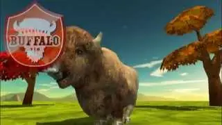 Buffalo Survival Simulator