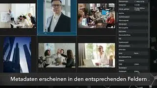 Excire Foto Office Edition: Mit Metadaten suchen