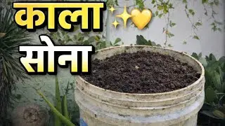 @Majha-Aangan Turn kitchen waste into natural compost☘️🌿#KitchenWaste#OrganicCompost#ZeroWasteLiving