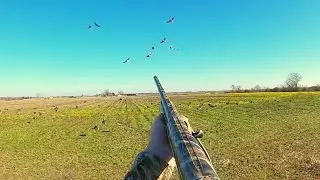 INSANE Arkansas Specklebelly Goose Hunt