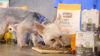 Merrick Limited Ingredient Diet Dog Food | 2018