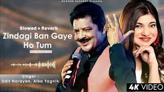 Zindagi Ban Gaye Tum 💔 Slowed + Reverb | Feel the Pain | #uditnarayan #slowedreverb 