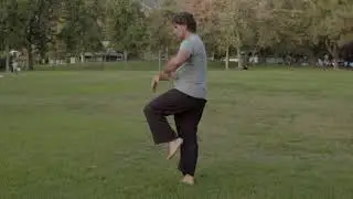 Yangjia Michuan - 13 Postures