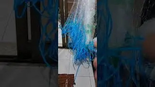 entralhando rede 300 metros #tarrafa #arrast&atilde;o #pescaria #pescadores #pesca #barcopesqueiro #tilapia
