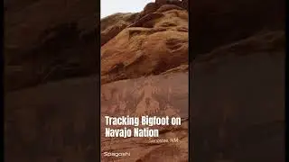#tracking #bigfoot on #navajo #nation Anyone else seen the big guy?