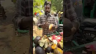 Must-Try Jelly-Like Fruit in India &ndash; Ice Apple!