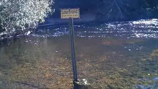 Fing Fishing Spot on Ocqueoc
